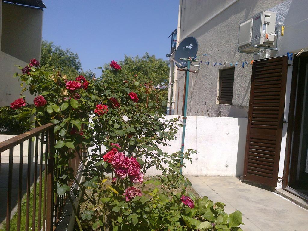דוגי ראט Apartment A1 מראה חיצוני תמונה